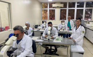 LACEN-TO realiza capacitação em diagnóstico laboratorial de malária e doença de chagas 
