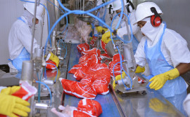 Tocantins registra a segunda menor taxa de desocupação da Região Norte