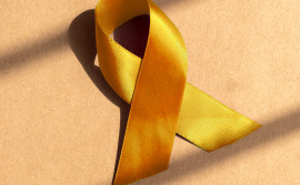 Governo do Tocantins promove a campanha Setembro Amarelo 