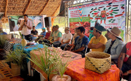 Governo do Tocantins incentiva a agricultura familiar indígena, durante a Feira de Sementes Krahô