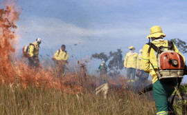 Naturatins destaca atuação nas Unidades de Conservação para prevenção e combate a incêndios
