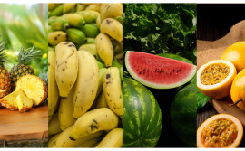 Governo do Tocantins abre inscrições para a 2ª edição da Rota da Fruticultura 

