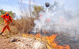Tocantins participa de simulado nacional do sistema “Defesa Civil Alerta” neste sábado, 13