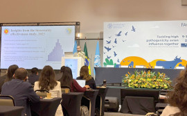 Governo do Tocantins participa de discussão global sobre influenza aviária, em Foz do Iguaçu
