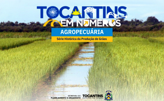 Tocantins atinge novo recorde na produção de grãos com 9,1 milhões de toneladas colhidas na safra 2024/25 