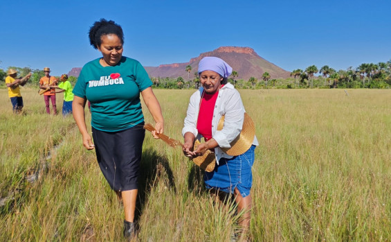 Com apoio do Governo do Tocantins, Festa da Colheita do Capim-Dourado celebra tradição e conecta visitantes ao Jalapão 