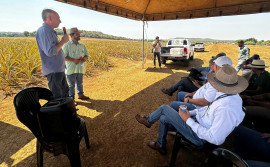 Governo do Tocantins inicia Rota da Fruticultura em Barrolândia, com foco em tecnologias e qualidades do abacaxi 
