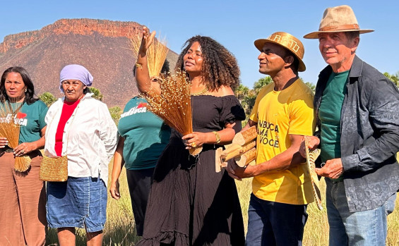 Naturatins realiza visita a campo de capim-dourado no Jalapão