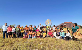 Naturatins realiza visita a campo de capim-dourado no Jalapão
