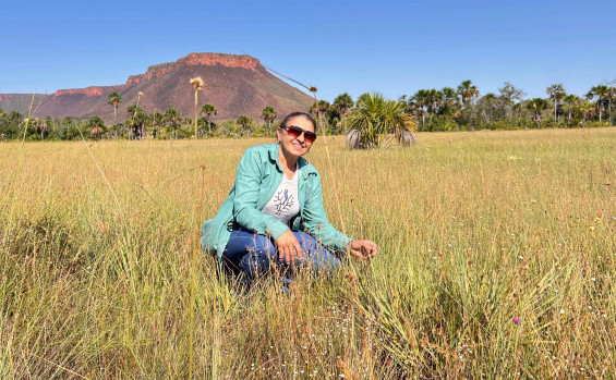 Naturatins realiza visita a campo de capim-dourado no Jalapão
