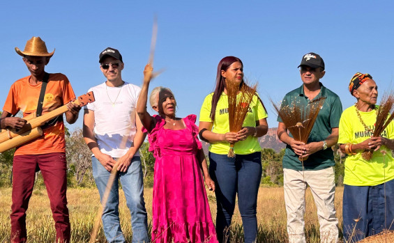 Naturatins realiza visita a campo de capim-dourado no Jalapão