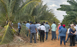 Governo do Tocantins debate tecnologia e conhecimento para o futuro da fruticultura no Projeto Manuel Alves