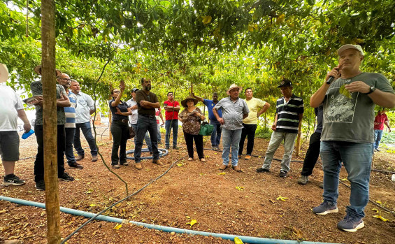 Governo do Tocantins encerra Rota da Fruticultura com foco em tecnologias de produção de pitaya e maracujá