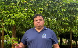 Governo do Tocantins encerra Rota da Fruticultura com foco em tecnologias de produção de pitaya e maracujá