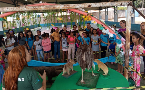 Naturatins mobiliza alunos de Divinópolis e Paraíso do Tocantins com o Projeto Guardiões do Cerrado 