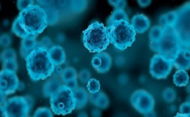 Governo do Tocantins institui linha de cuidados para pessoas com sífilis