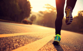 Em evento do Setembro Verde, Governo do Tocantins incentiva a doação de órgãos