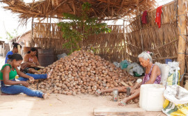 Governo do Tocantins cadastra artesãs e mapeia quebradeiras de coco em Augustinópolis