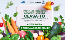 Governo do Tocantins lança Painel de Cotações Agropecuárias da Ceasa