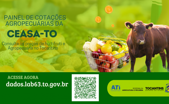 Painel de Cotações oferece transparência e dados para fortalecer a cadeia produtiva do agronegócio no estado - Naturatins/Governo do Tocantins