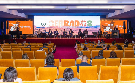 Governo do Tocantins participa da COP Cerrados em Brasília e assina carta para inclusão do bioma na agenda climática internacional