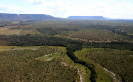 Governo do Tocantins estabelece procedimentos para o Cadastro Ambiental Rural e o Programa de Regularização Ambiental