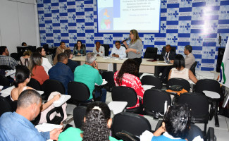 SES-TO apresenta balanço do primeiro quadrimestre no Conselho Estadual de Saúde