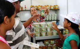 Governo do Tocantins e instituições federais realizam oficinas sobre produtos naturais e ervas medicinais do Cerrado tocantinense
