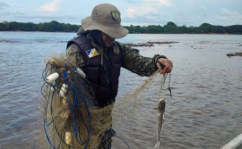Naturatins intensifica fiscalização ambiental com foco no combate à pesca predatória no estado