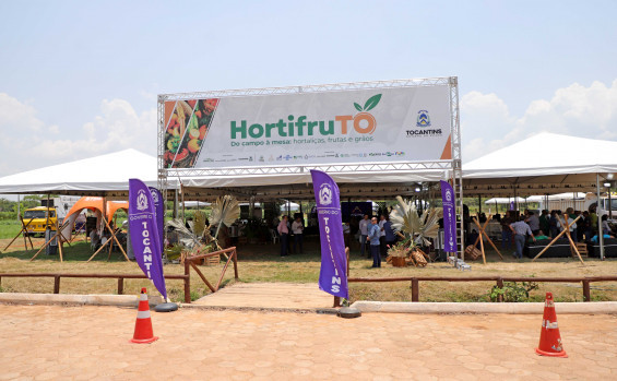 Em Palmas, governador Laurez Moreira participa de workshop sobre produção de frutas e hortaliças e entrega kits de sementes do programa Mesa Farta
