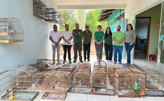 Naturatins realiza Operação Pássaro Livre e combate criação ilegal de aves na região do Bico do Papagaio
