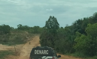Na região do Jalapão, 1ª Denarc dá cumprimento a mandados de busca e apreende porção de droga  
