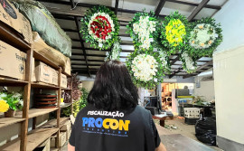 Procon Tocantins realiza pesquisa de preços para orientar consumidores no Dia de Finados