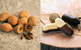 Governo do Tocantins e Associação de Mulheres Agroextrativistas realizam 2º Festival do Baru e do Jatobá