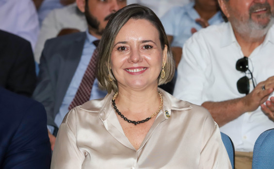 A secretária de Estado do Trabalho e Desenvolvimento Social, Ana Carina Souto, destacou que a Setas será responsável por articular os municípios e coordenar as ações do programa no Tocantins - Antônio Gonçalves/Governo do Tocantins
