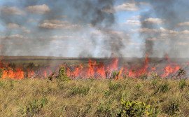 Governo do Tocantins prorroga suspensão das autorizações de queima controlada até 9 de novembro