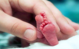 Governo do Tocantins conscientiza a população sobre a prematuridade