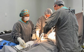 Governo do Tocantins realiza captação de órgãos após autorização da família de doador