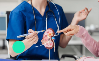SES-TO realiza seminário de doenças e agravos não transmissíveis