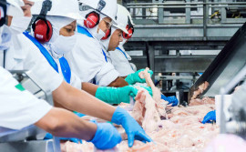 Tocantins fortalece vocação exportadora com a realização da Caravana do Agro Exportador e lançamento do Plano Estadual de Cultura Exportadora