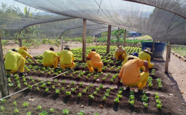 Governo do Tocantins amplia capacitações profissionalizantes para fortalecer a ressocialização de custodiados