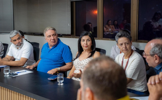 Participaram da reunião a secretária de Estado da Comunicação, Luiza Rocha; o secretário de Estado do Planejamento e Orçamento, Ronaldo Dimas; e a secretária-chefe da Casa Civil, Irana Coelho - Bruno Maia/Governo do Tocantins