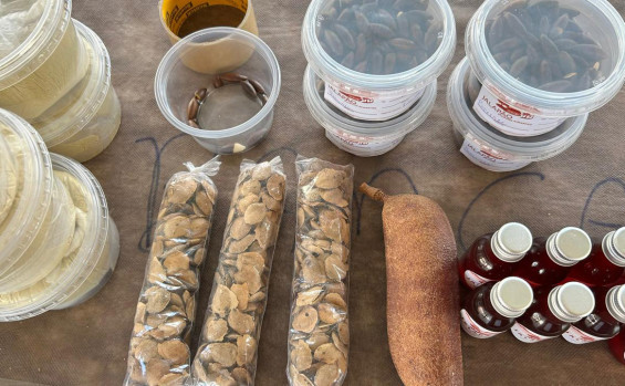 Mateiros realiza 1º Festival do Jatobá e celebra a cultura e tradição local