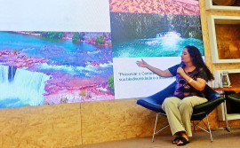 No Rio de Janeiro, Governo do Tocantins participa do 3º Seminário sobre Sustentabilidade e Inovação no Artesanato