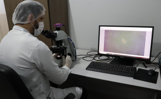 Polícia Civil do Tocantins identifica autor de estupro ocorrido em 2015 por meio de análise pericial de DNA
