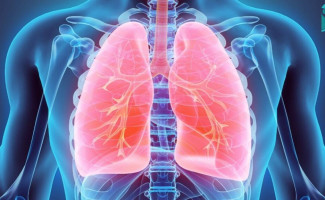 No Dia Mundial da Doença Pulmonar Obstrutiva Crônica, SES-TO alerta para a importância de cuidar da saúde respiratória