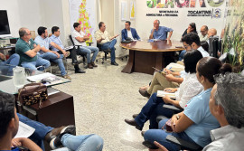 Governo do Tocantins articula ações com setor de laticínios para fortalecer a cadeia produtiva do leite