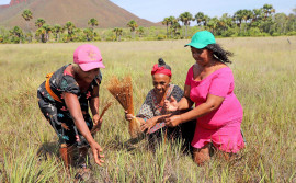 Governo do Tocantins reforça compromisso com a igualdade racial e celebra memória de resistência negra