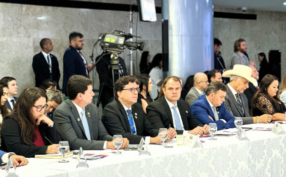 Governo do Tocantins participa, em Brasília, de reunião para discutir investimentos estrangeiros e promoção do comércio exterior nos estados 