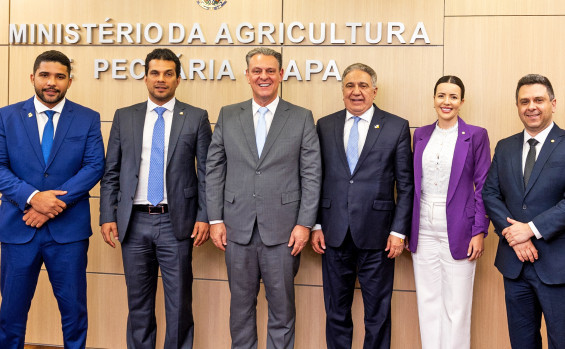 Governador Laurez Moreira busca parceria com Ministério da Agricultura e Pecuária para fortalecer produtores rurais no estado